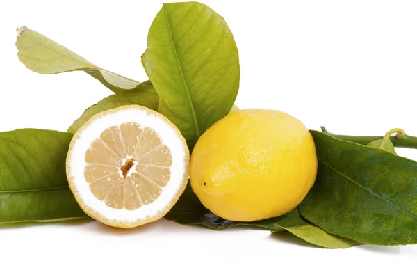Juicy lemons with yellow leaves — Stock Photo, Image