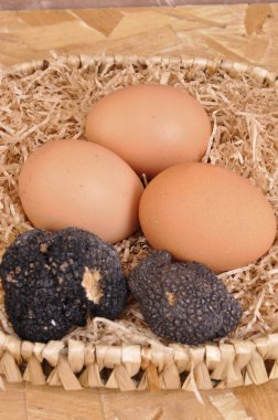 Egg with black truffle clipart