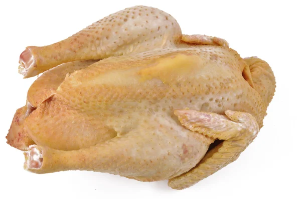 Beyaz arka planda çiğ tavuk — Stok fotoğraf