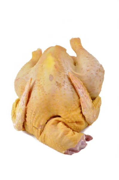 Pollo crudo su sfondo bianco — Foto Stock