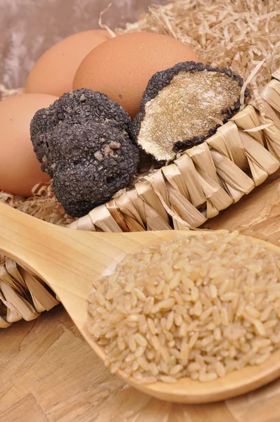 Rice and black truffle — Stock Photo, Image