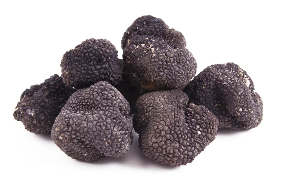 stock image Freshly harvested black truffle