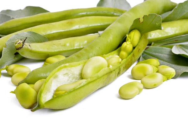 Fresh beans with leaves — Stock Photo, Image