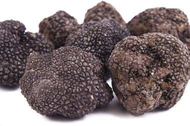 taze hasat siyah truffle