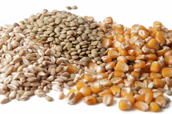 Mixture of legumes and cereals — Stock Photo, Image