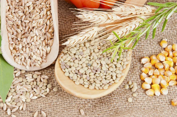Mezcla de legumbres y cereales —  Fotos de Stock
