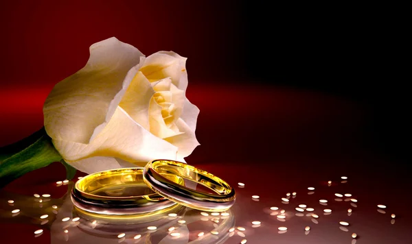 Rosa Bianca con fedi