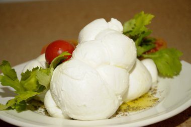 Mozzarella fresca con pomodori