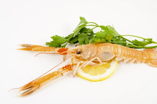 Freshly caught shrimp with lemon — Stock Photo, Image