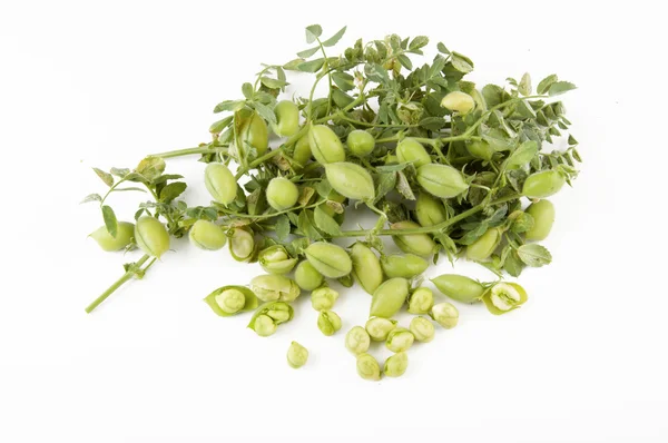 çuvala beyaz zemin dışarı dökülmesini Nohut ile