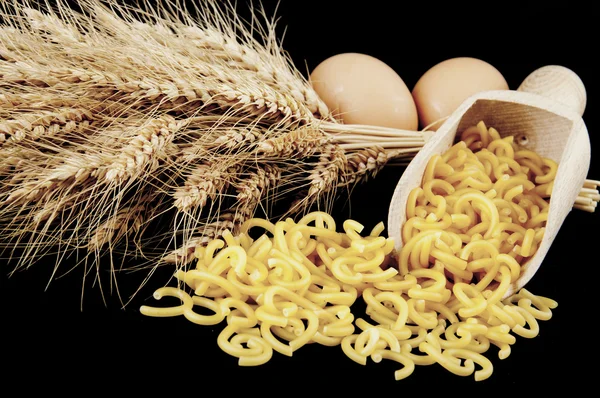 Pasta with various types of grain pile — Stock Photo, Image