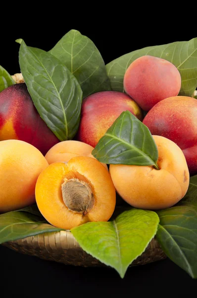 Apricots and peaches — Stock Photo, Image
