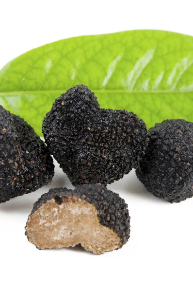 Freshly harvested black truffle — Stock Photo, Image