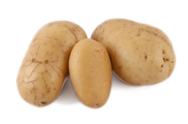 stock image Potato yellow earth