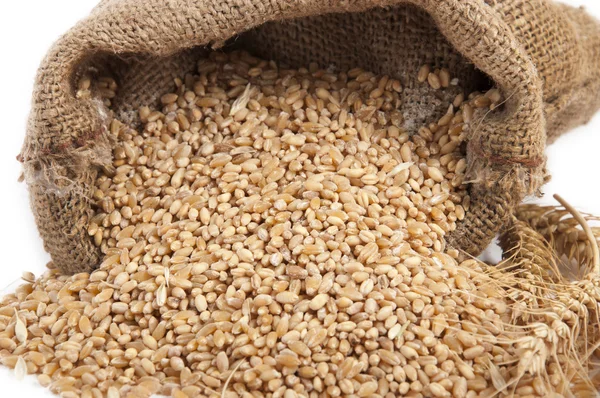 Bunch of ears of wheat — Stock Photo, Image