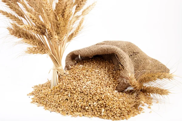 Bolsa de trigo y trigo —  Fotos de Stock