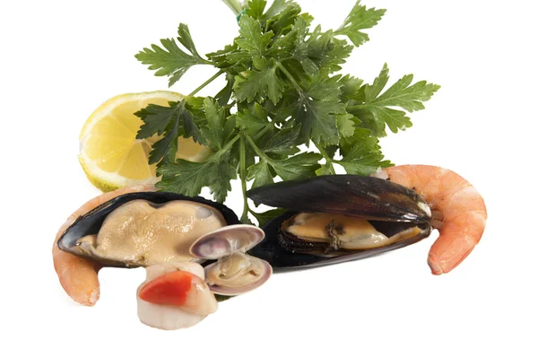 Raw mussels with parsley and lemon — Stock Photo, Image