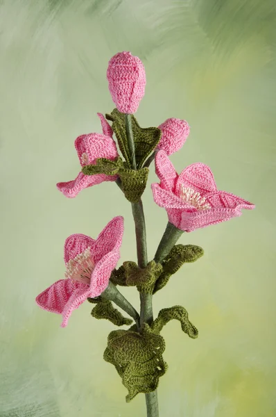 크로 셰 뜨개질 꽃 미나리 아재비과 식물 스톡 이미지