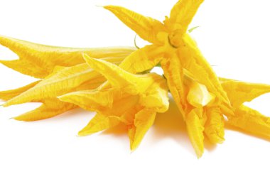 kabak çiçeği ile kabak çorbası