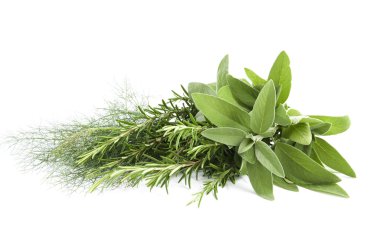 Mik fennel, rosemary and sage clipart