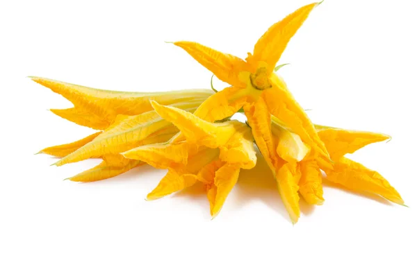 ズッキーニの花のカボチャ スープ — ストック写真