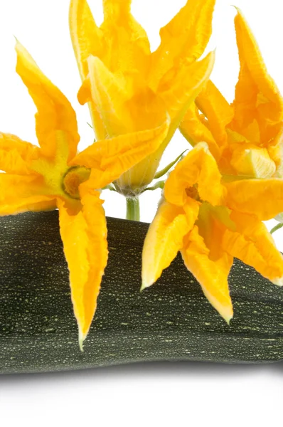 Sütőtök krémleves cukkini virág — Stock Fotó