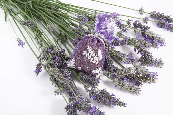 stock image Lavender