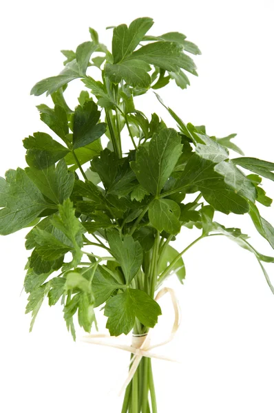 Fresh green parsley — Stock Photo, Image