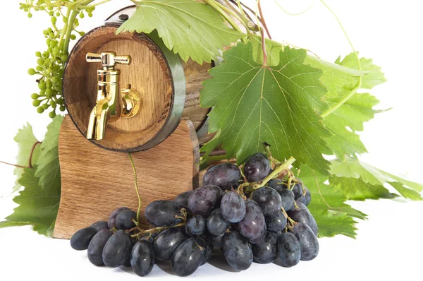 In oak casks with vines and grapes white and black — Stock Photo, Image