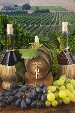 In oak casks with vines and grapes white and black clipart
