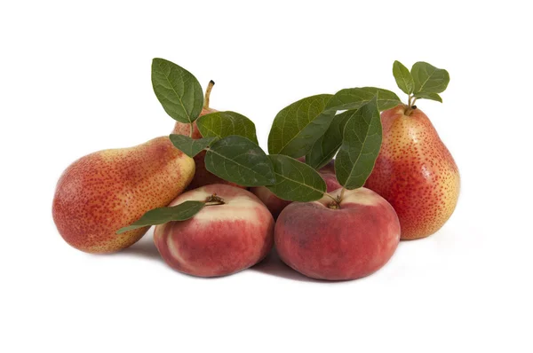 Peaches snuff-pesche tabacchiera — Stock Photo, Image