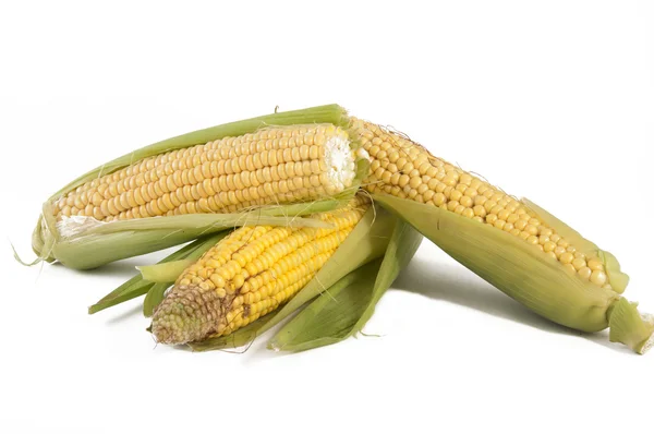 Una spiga di mais su uno sfondo bianco — Foto Stock