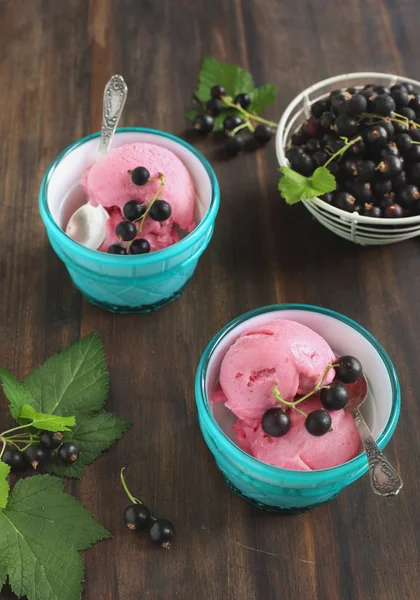 Blackcurrant Ice Cream — Stock Photo, Image