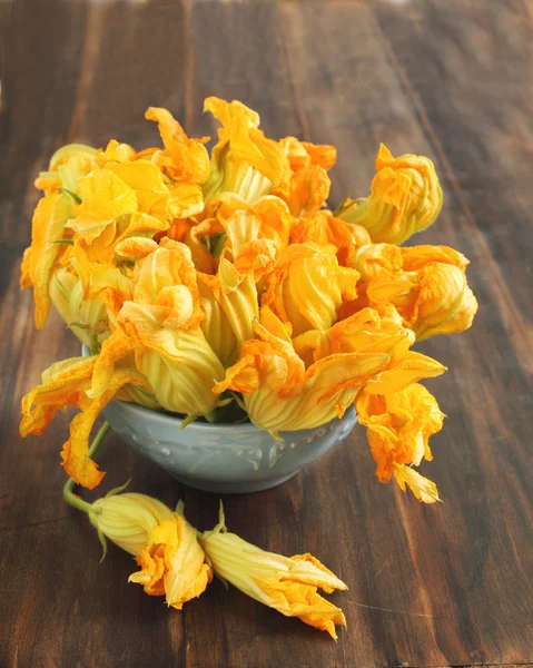 stock image Zucchini flowers