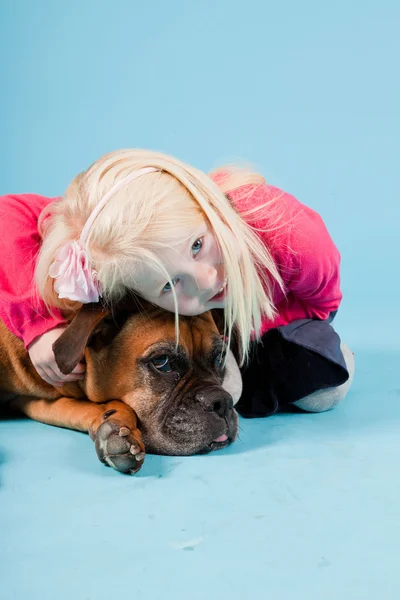 Студійний знімок коричневого боксерського собаки ізольовано на світло-блакитному фоні . — стокове фото