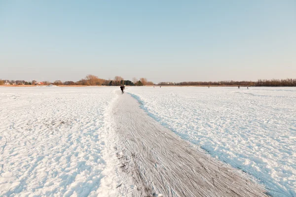 Dutch winter landscape with skater on frozen lake. Blue clear sky. — Zdjęcie stockowe