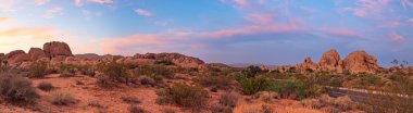 Panorama landscape of Joshua Tree National Park at sunset, USA. Driving road. clipart