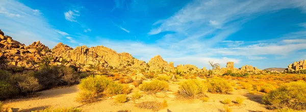 Panoramalandschaft des versteckten Tals im Joschua-Baum-Nationalpark, USA. Sonnenuntergang. große Felsen Yucca brevifolia Mojave Wüste blau bewölkt Himmel. — Stockfoto