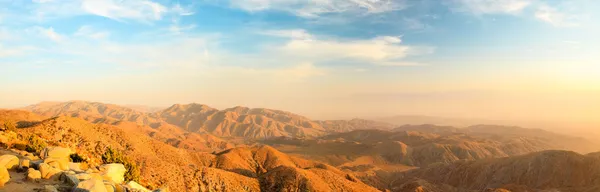 Панорама краєвид північноамериканських пустелі в Джошуа дерева Національний парк, США. Захід сонця. — стокове фото