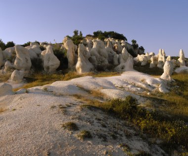 doğanın fenomeni