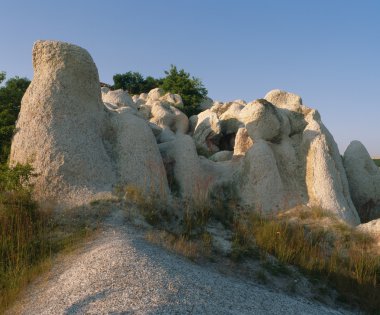 doğanın fenomeni