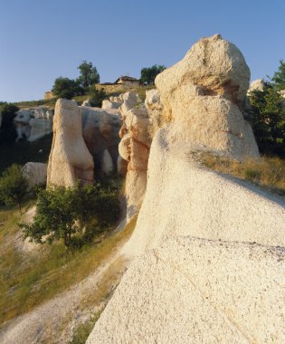 doğanın fenomeni