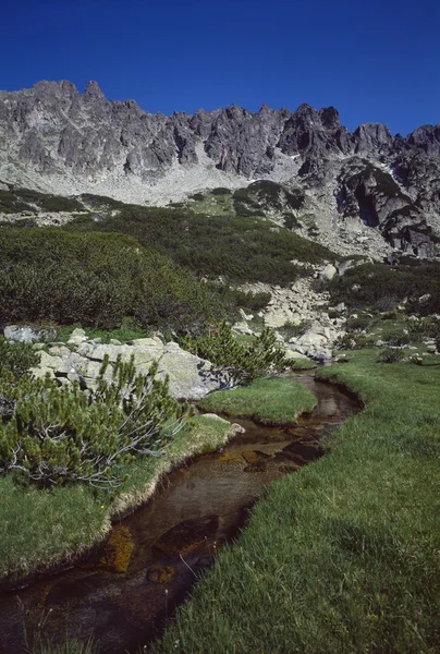 Nationalparken Pirin berget — Stockfoto