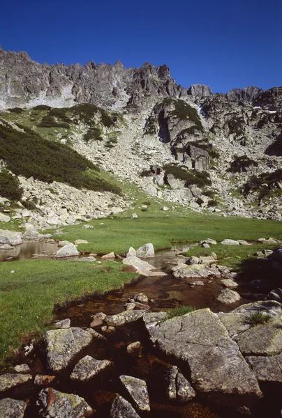 Parque Nacional de montaña Pirin Imagen de archivo