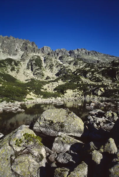 Parque Nacional de montaña Pirin Fotos de stock libres de derechos