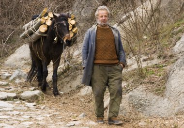 yaşlı adam ile odun getirmeye katırı