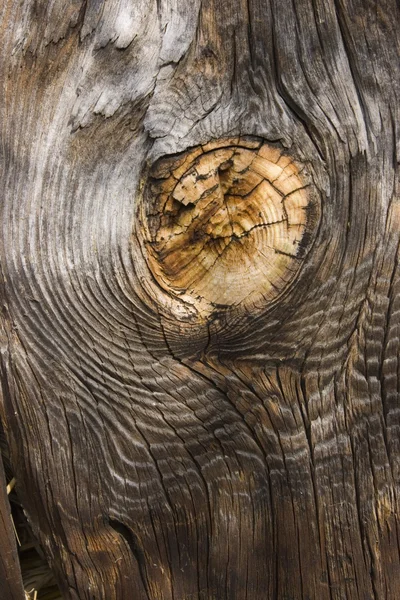 stock image Wooden Board