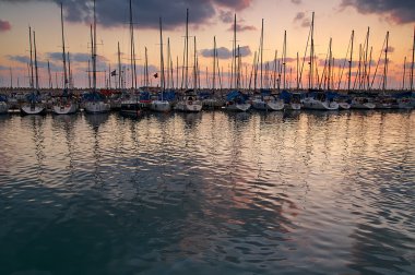 ashdod Marina