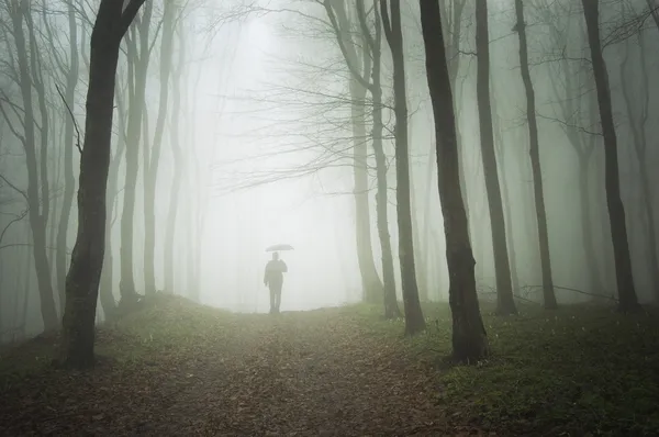 Человек с зонтиком идет к свету в туманном лесу — стоковое фото