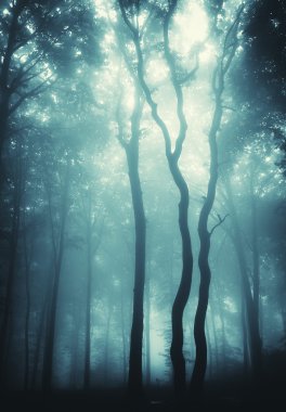 Vertical photo of trees in a forest with fog clipart